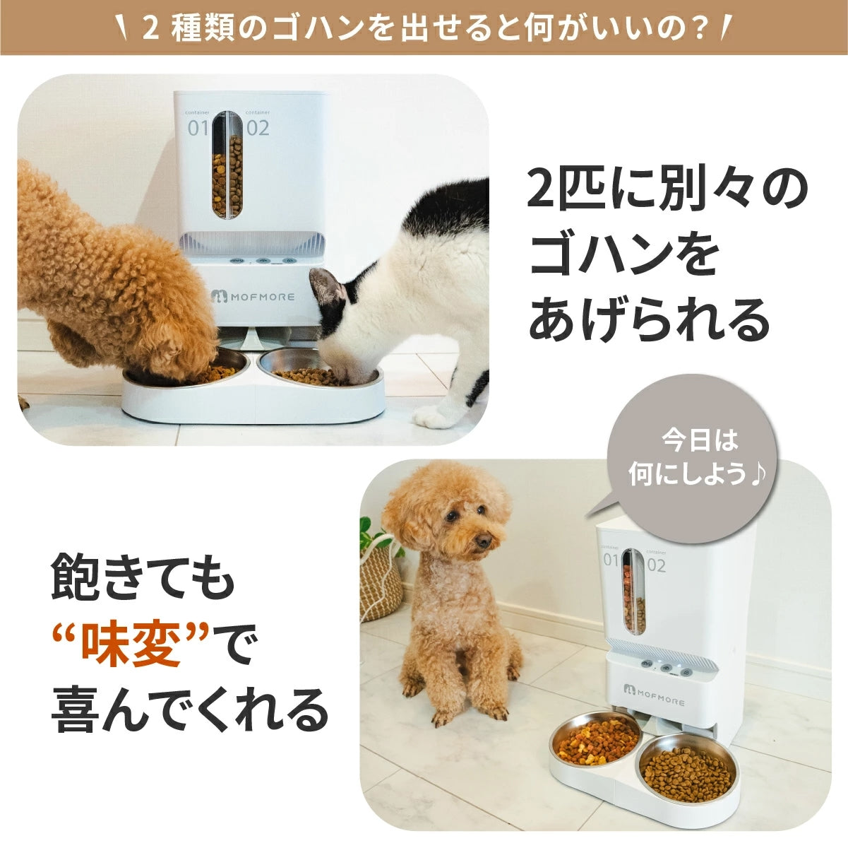 2タイプオートフィーダー 猫・犬用自動給餌器