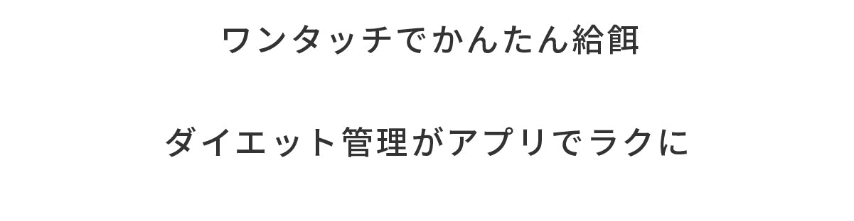 説明文!