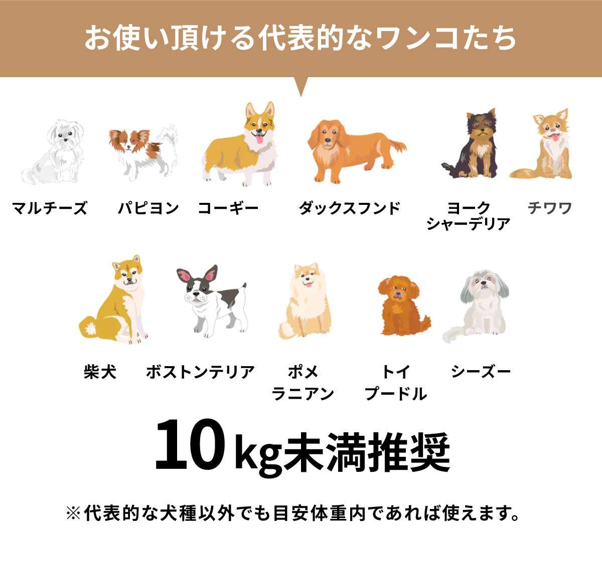 ワンちゃんとのお出かけでこのようなお悩みはありませんか?