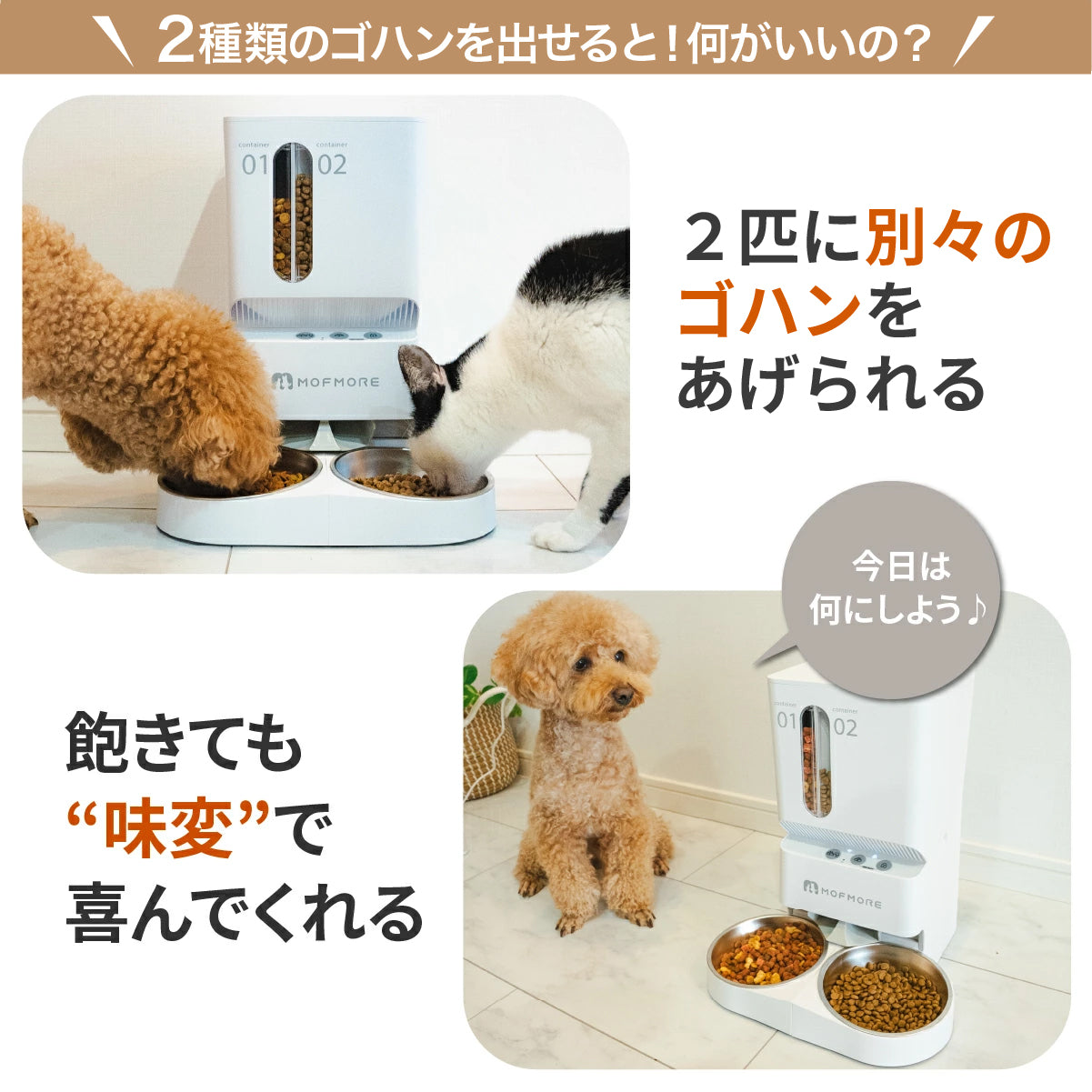 2タイプオートフィーダー 猫・犬用自動給餌器