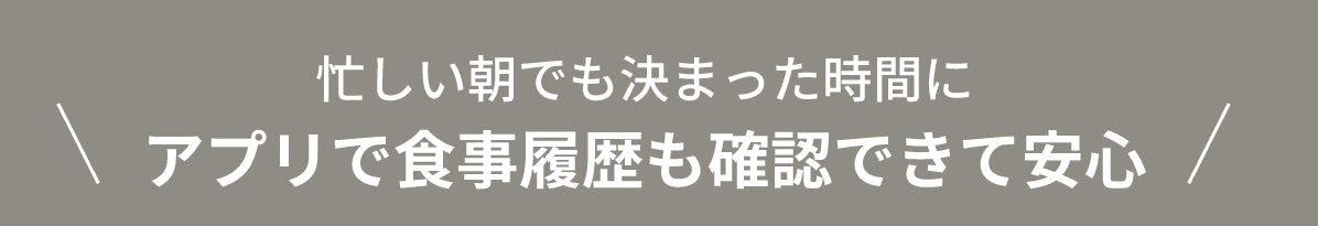 説明文!