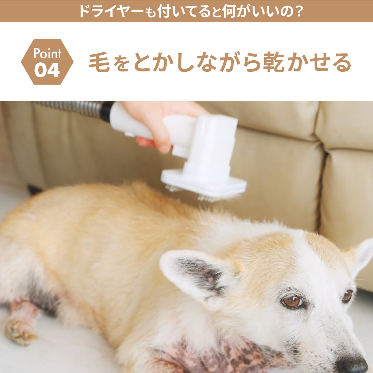 ドライヤーにもなるグルーミング掃除機