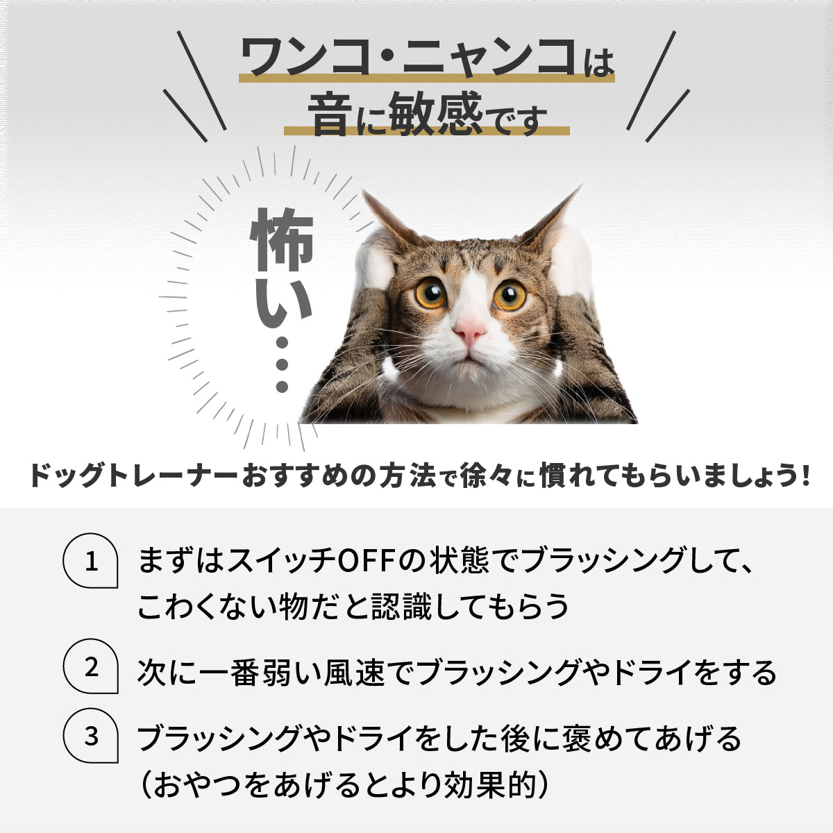 ドライヤーにもなるグルーミング掃除機
