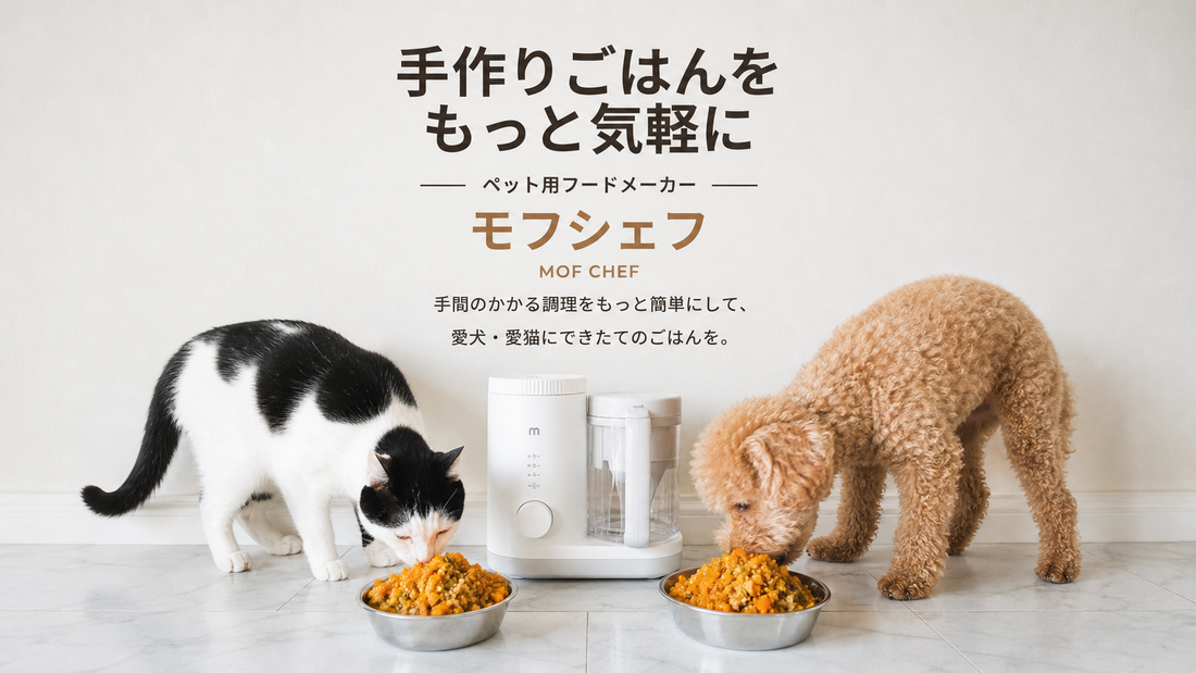 新商品「フードメーカー」が発売開始！