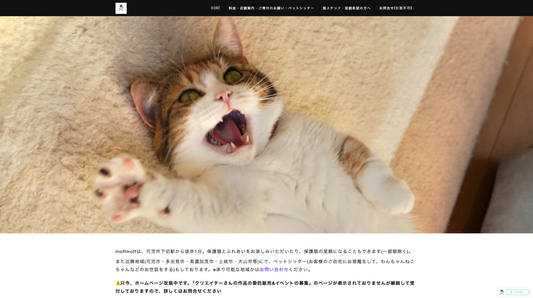 保護猫カフェmoff moff