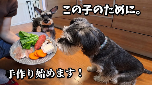 べるちゅーぶ