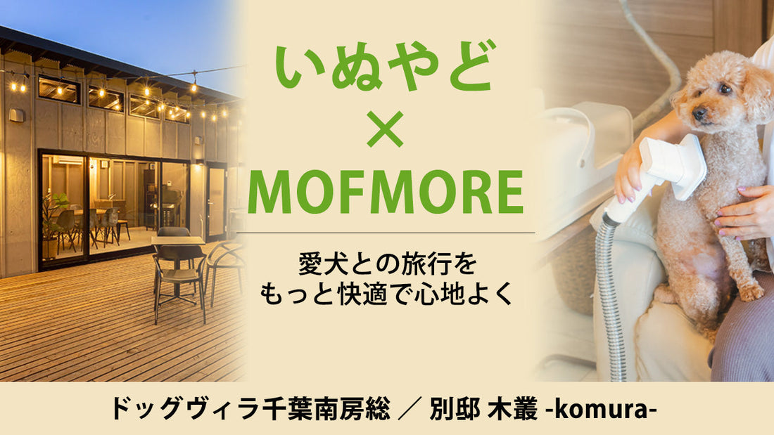 愛犬と泊まれる人気ホテルでMOFMOREグルーミング掃除機が使える！