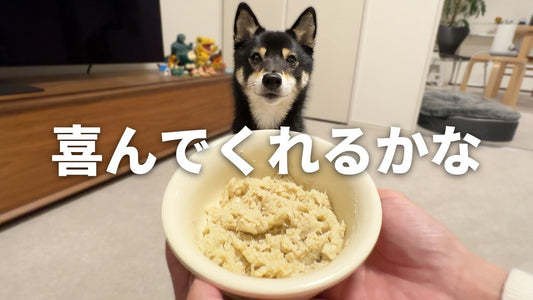 豆柴のスミ MAMESHIBA SUMI