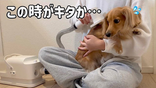 ホリデーのHappyHoliday