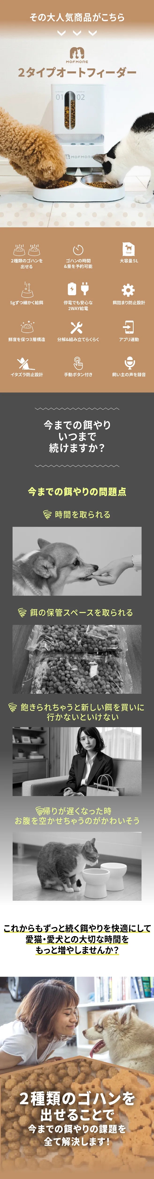説明文!
