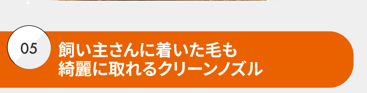 説明文!