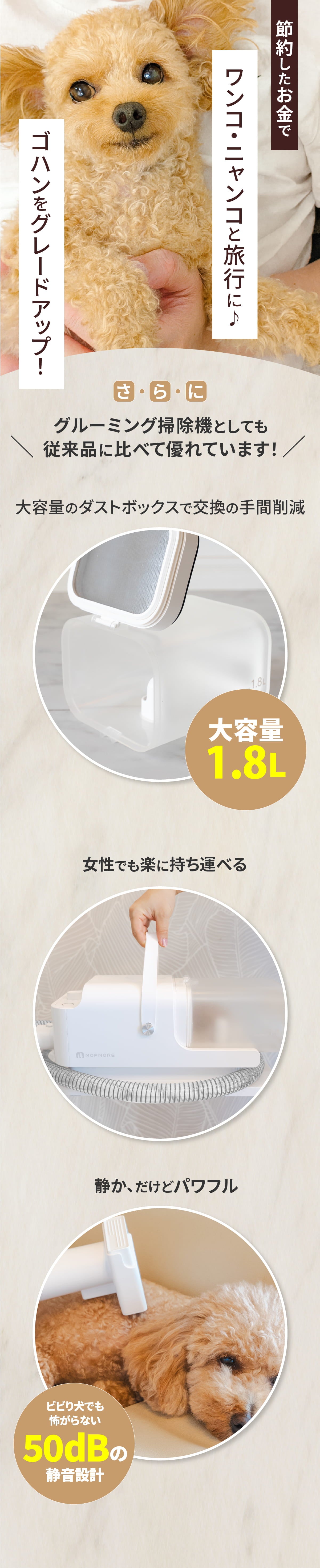 説明文!