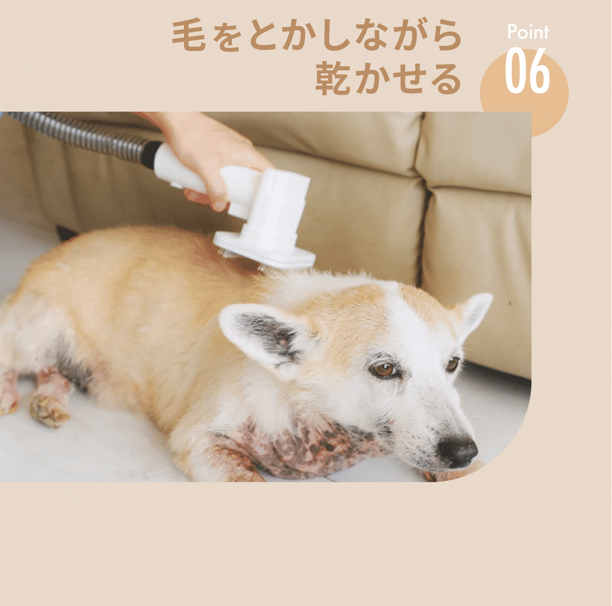 説明文!