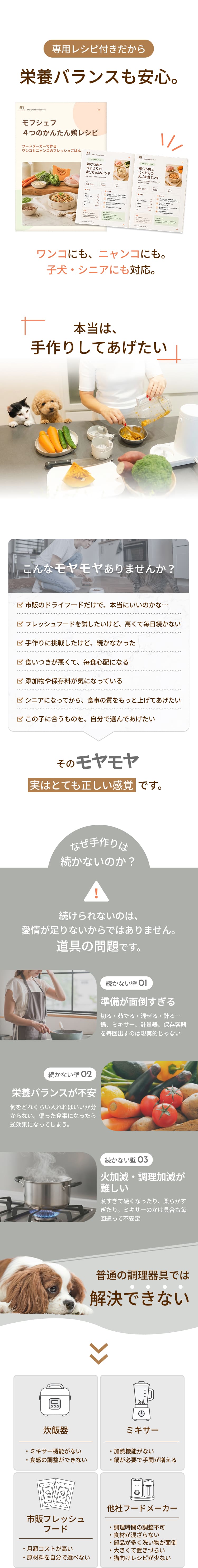 説明文!