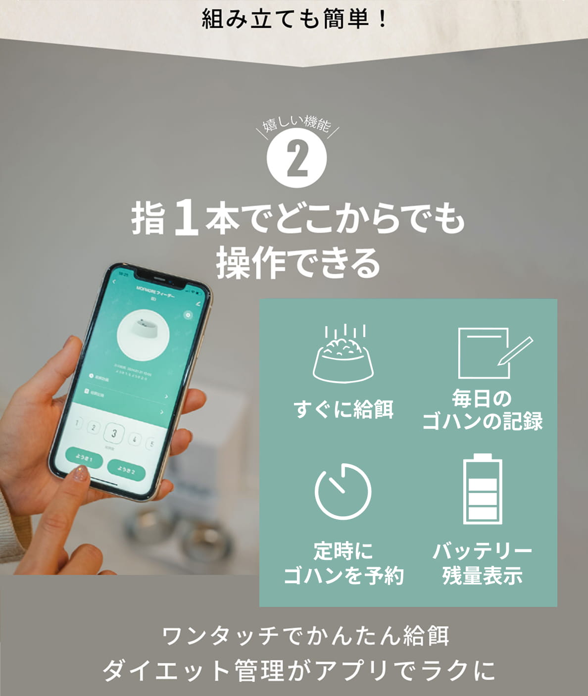 説明文!
