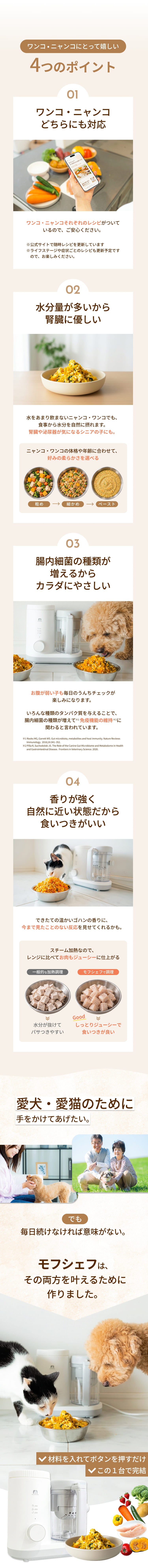 説明文!