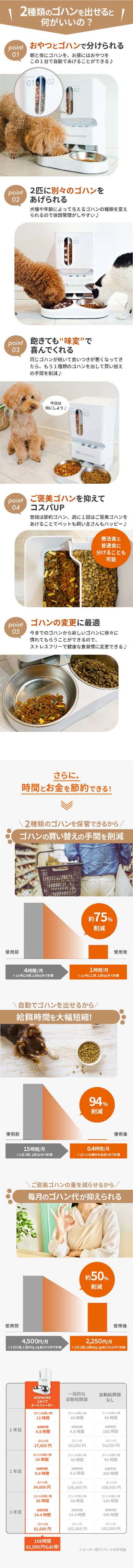 説明文!