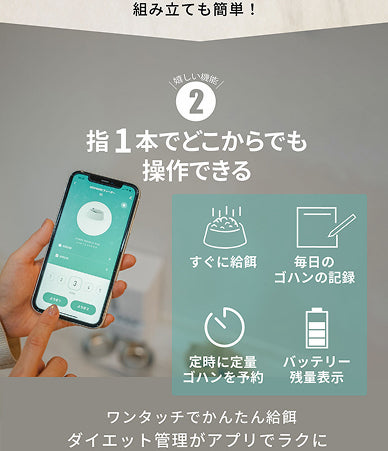 説明文!