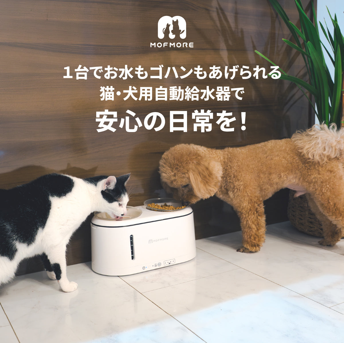 猫・犬用自動給水器