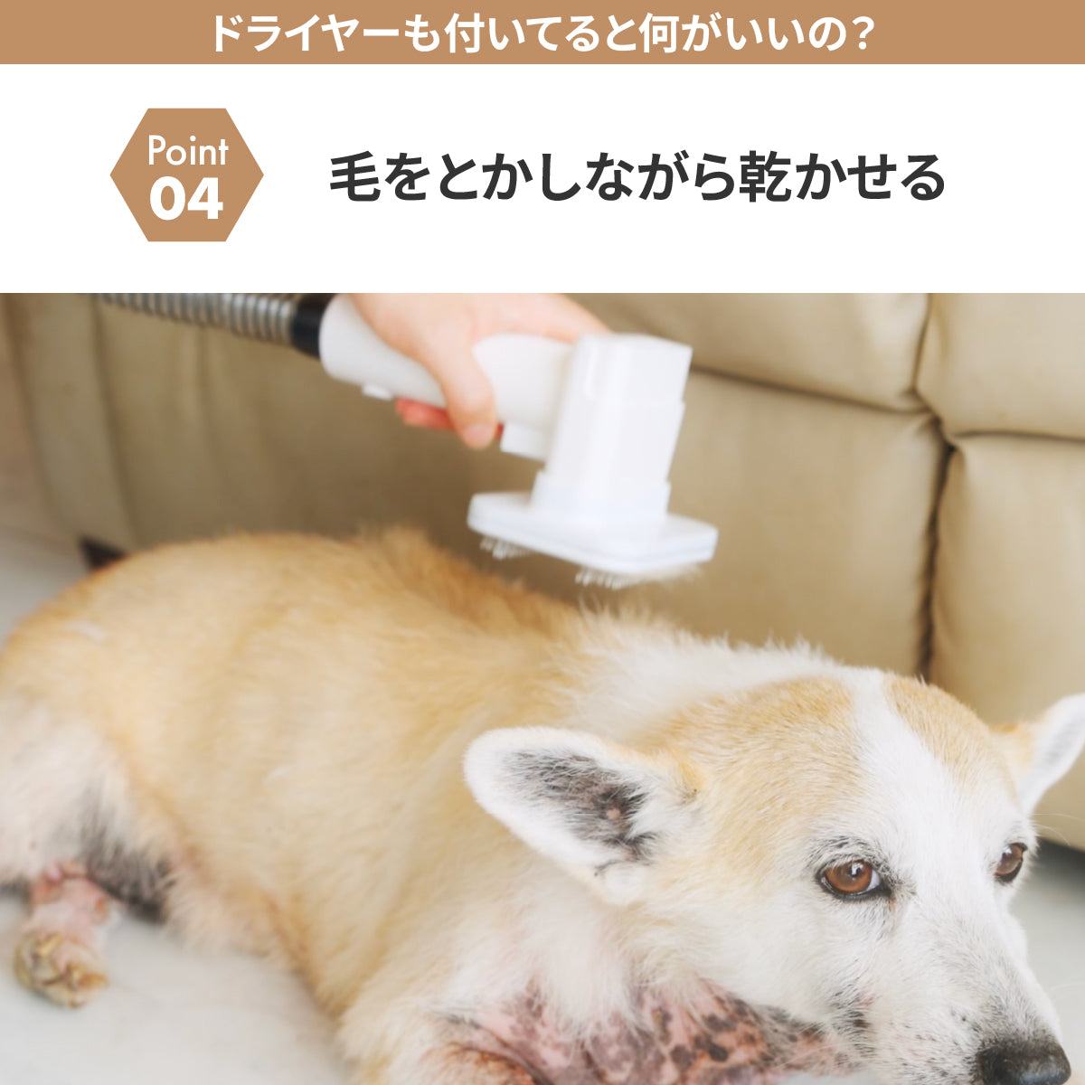 ドライヤーにもなるグルーミング掃除機