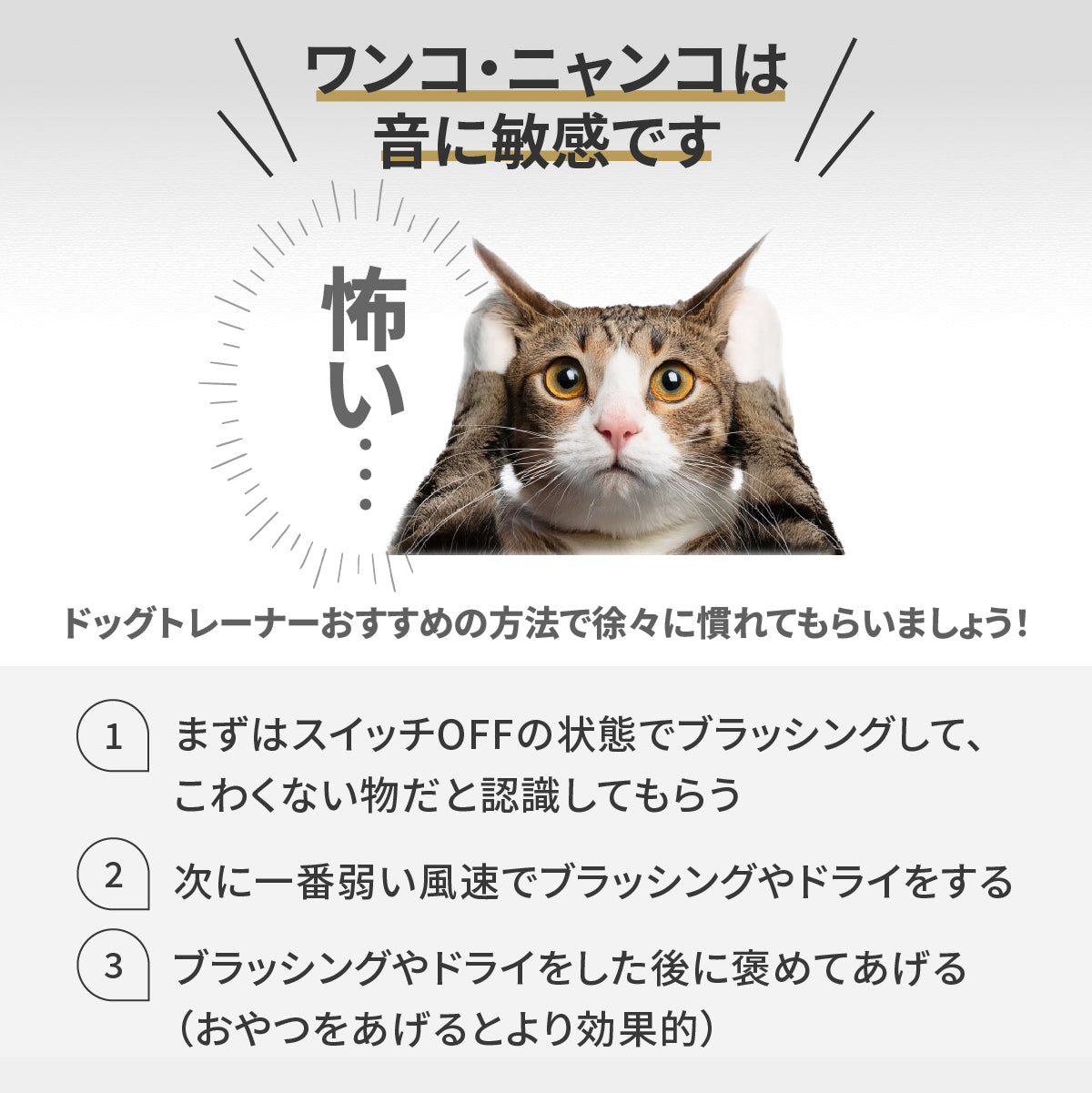 ドライヤーにもなるグルーミング掃除機