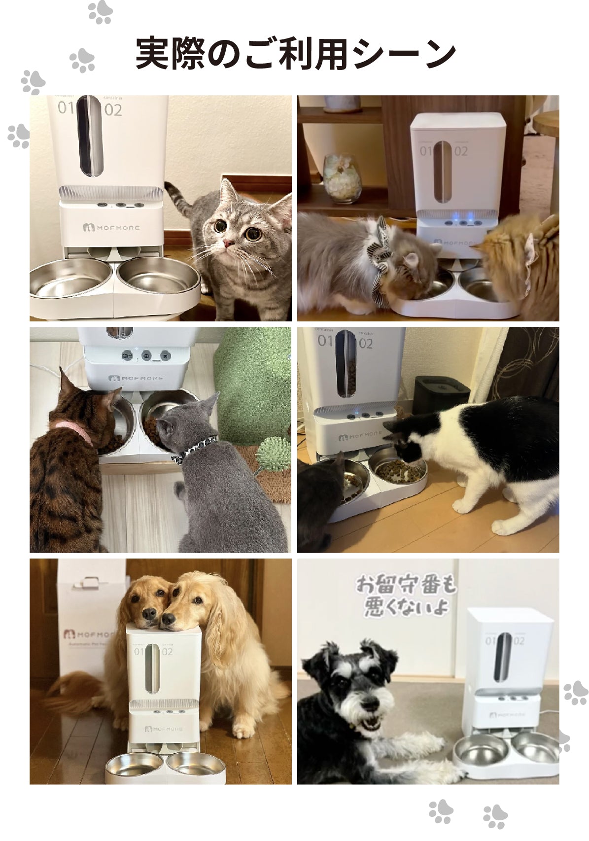 ２タイプオートフィーダー 猫・犬用自動給餌器 – MOFMORE