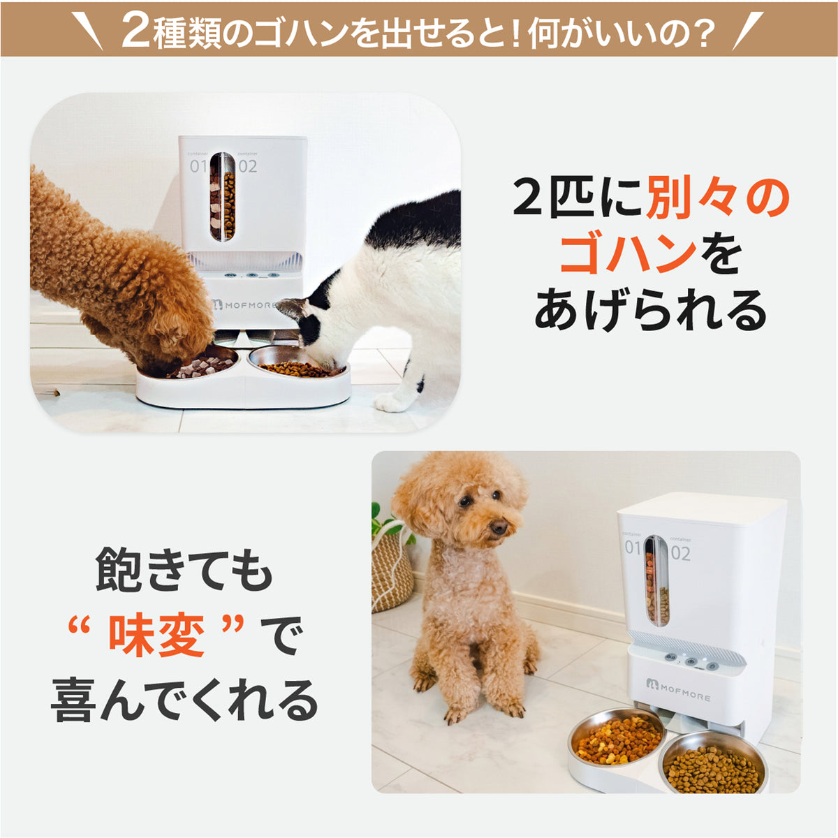 MOFMORE 2タイプオートフィーダー -2種類のゴハンが出せる自動給餌器-