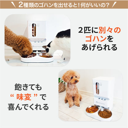 2種類のゴハンが出せる 猫・犬用自動給餌器
