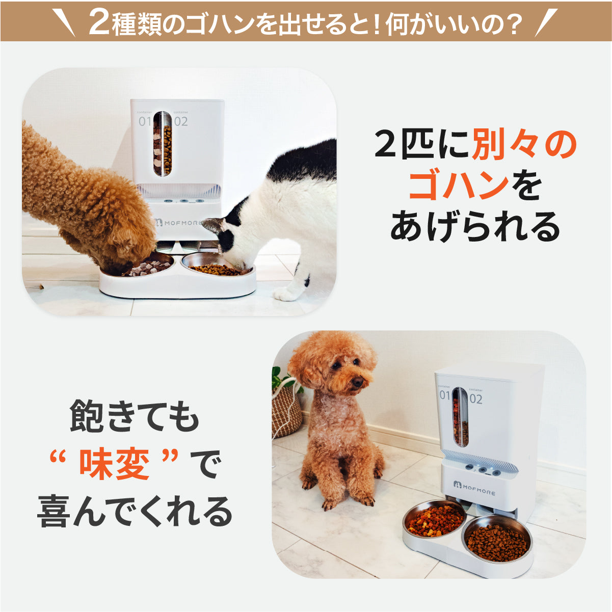 MOFMORE 自動給餌器 2タイプ レンタル】モフモア(MOFMORE)・2タイプオートフィーダー 猫・犬用自動