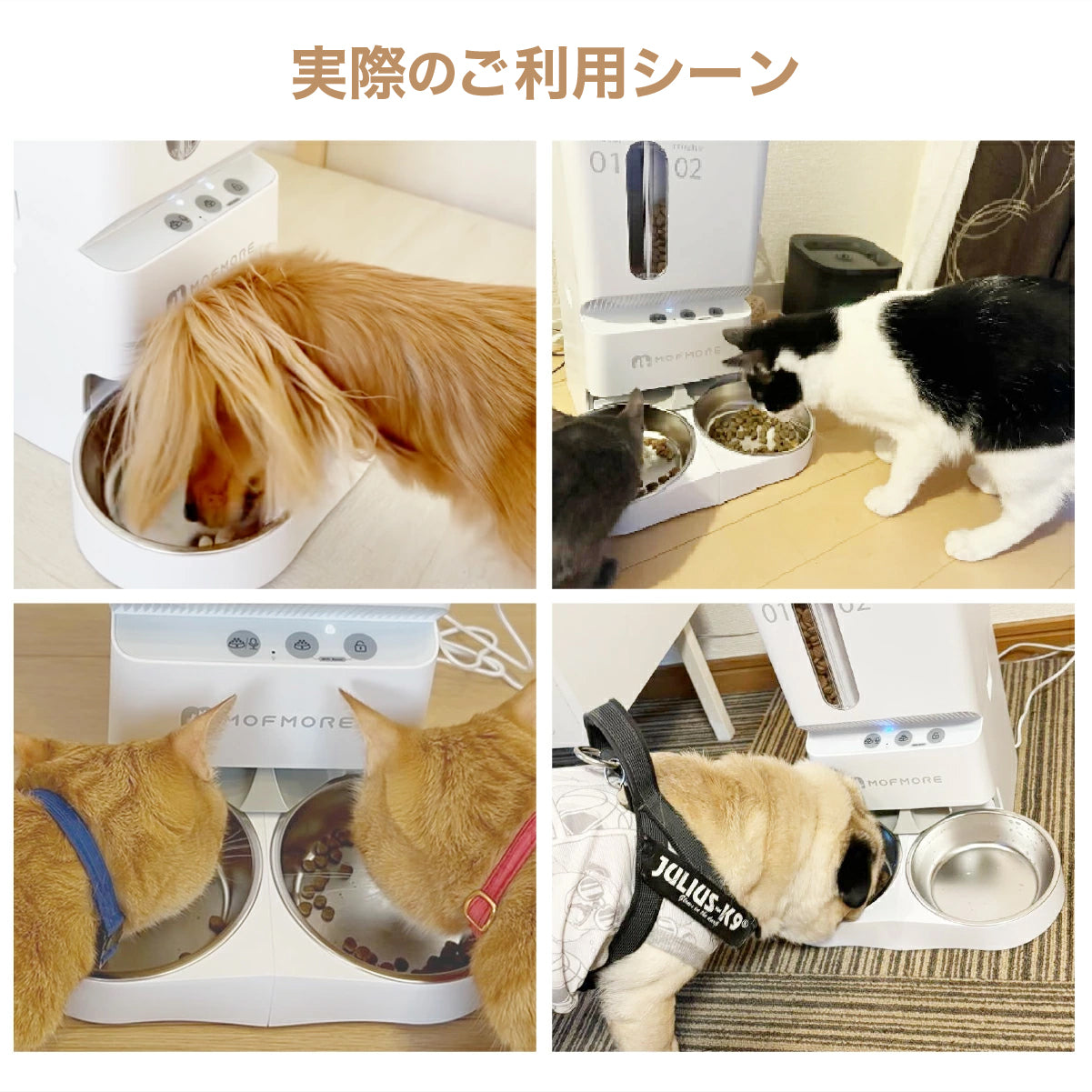 MOFMORE 2タイプオートフィーダー -2種類のゴハンが出せる自動給餌器-