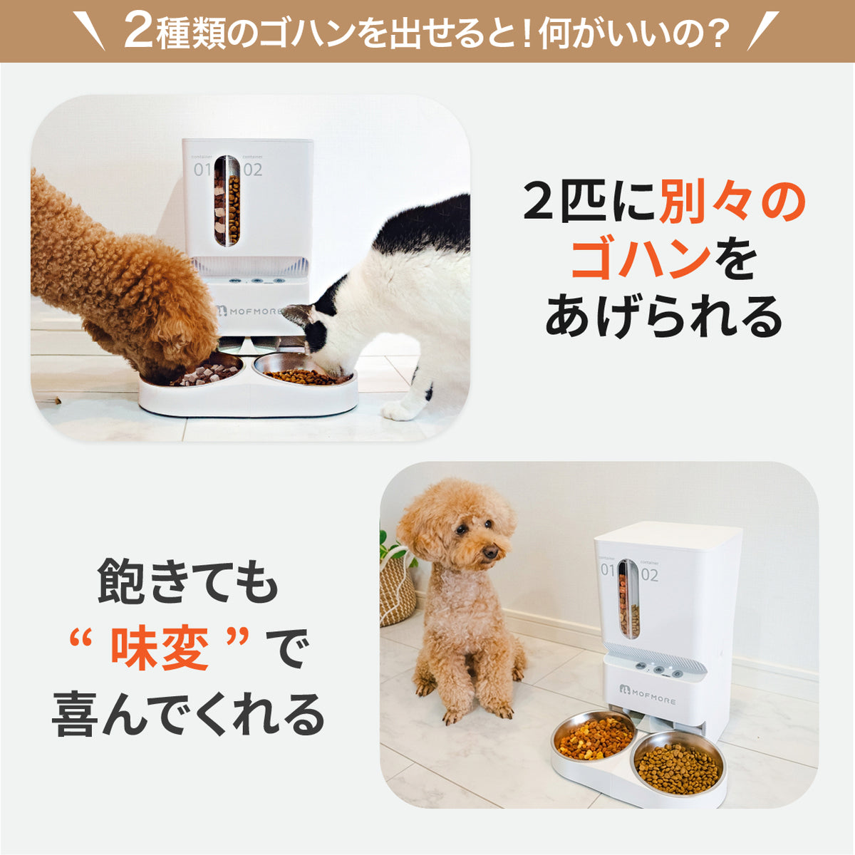 MOFMORE 2タイプオートフィーダー -2種類のゴハンが出せる自動給餌器-