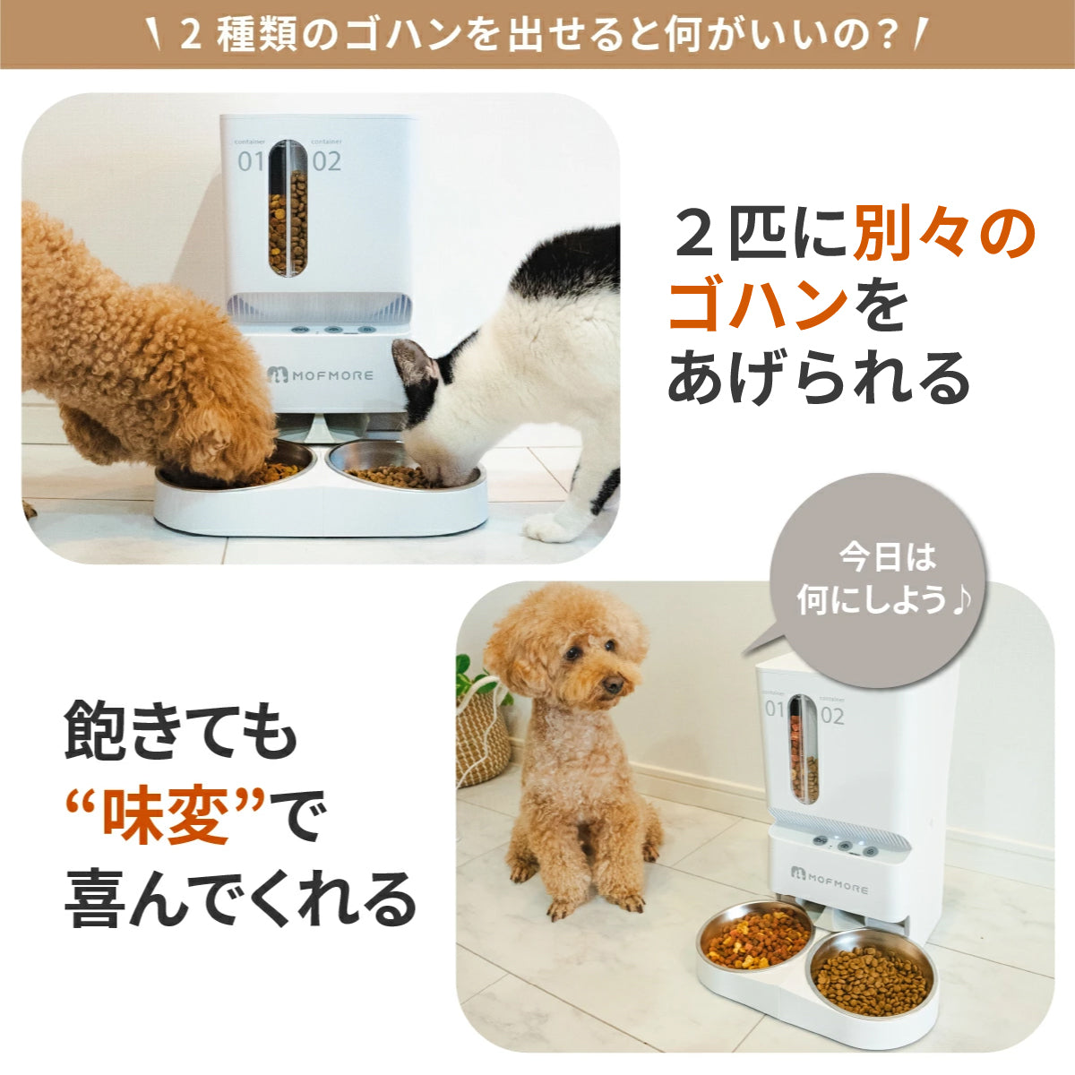 2タイプオートフィーダー 猫・犬用自動給餌器