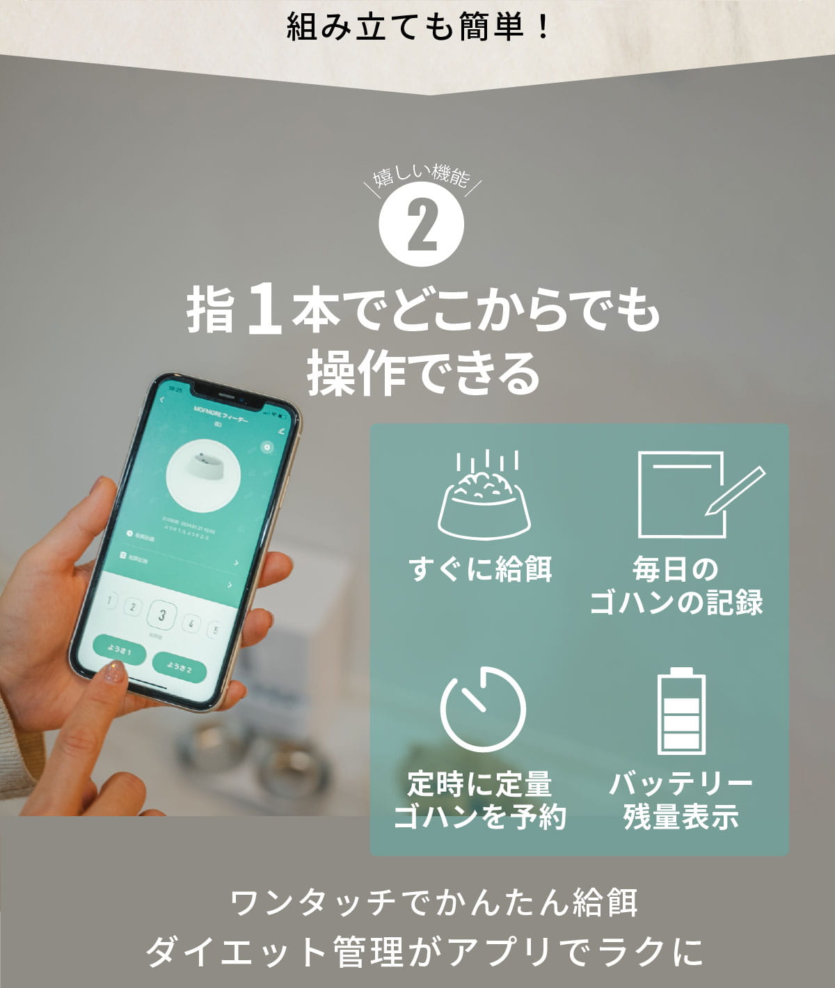 説明文!
