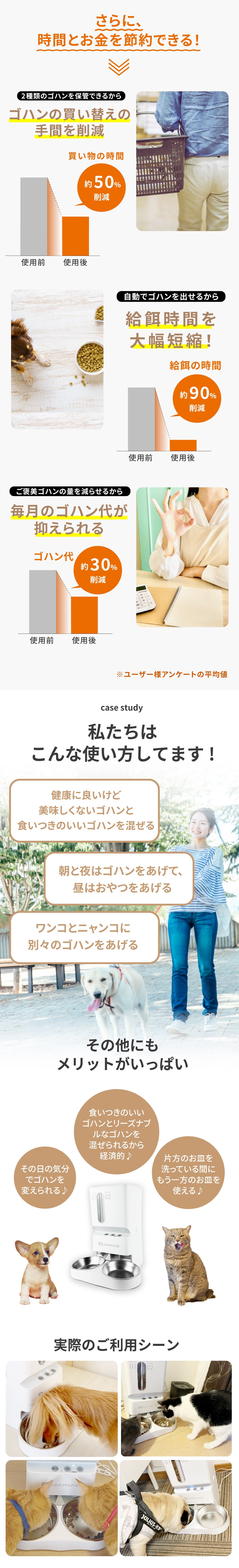 説明文!