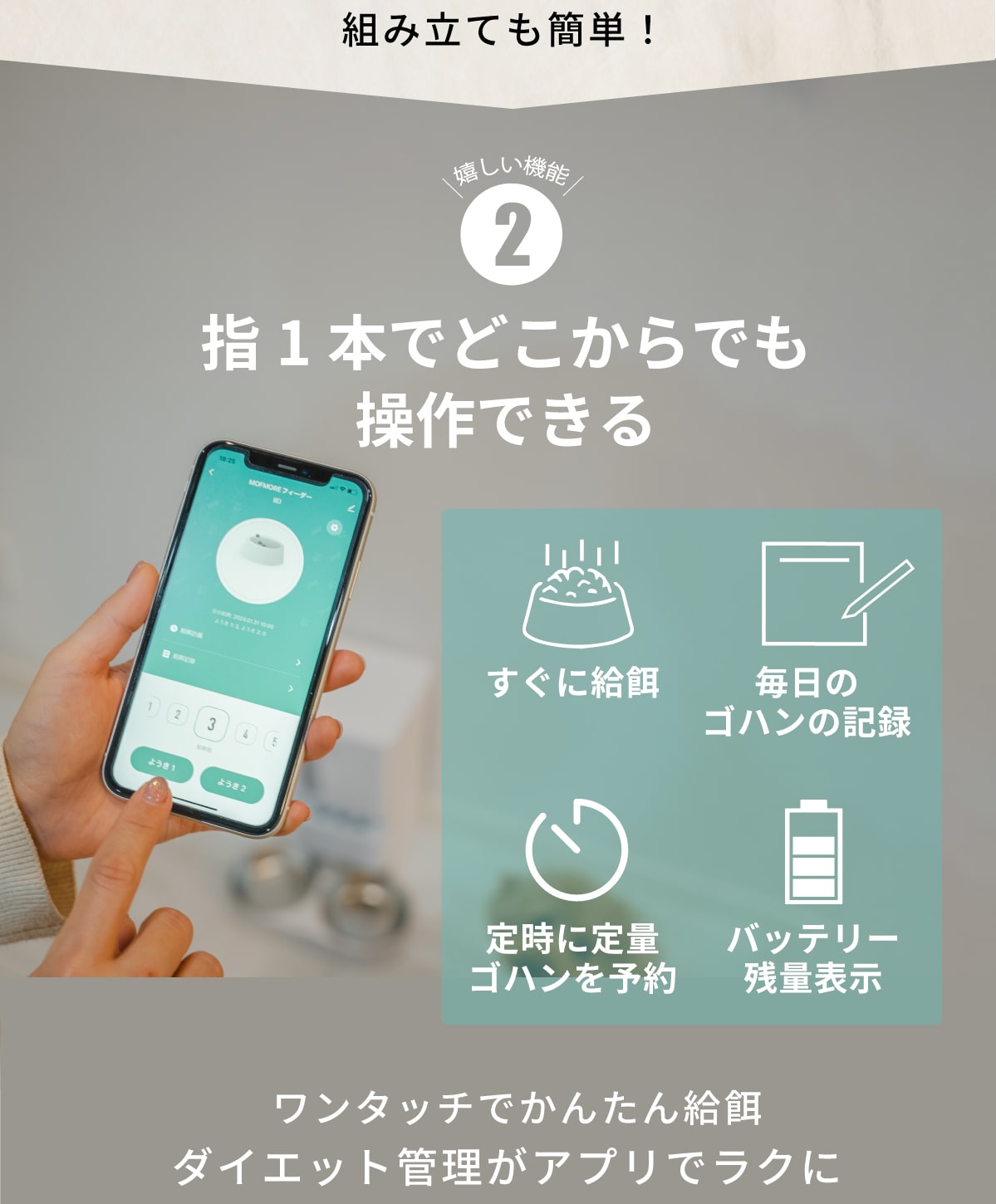 説明文!