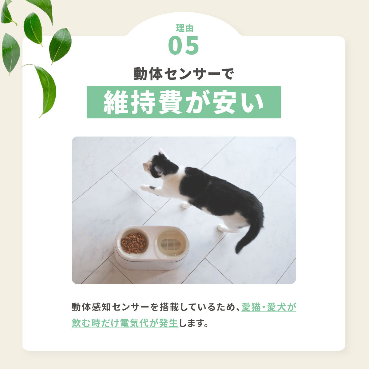猫・犬用自動給水器 – MOFMORE