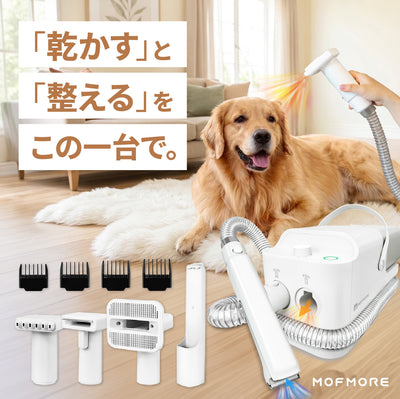 本体