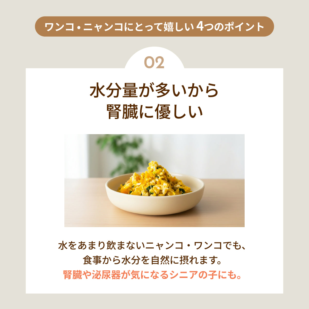 MOFMORE モフシェフ -ペット用フードメーカー-