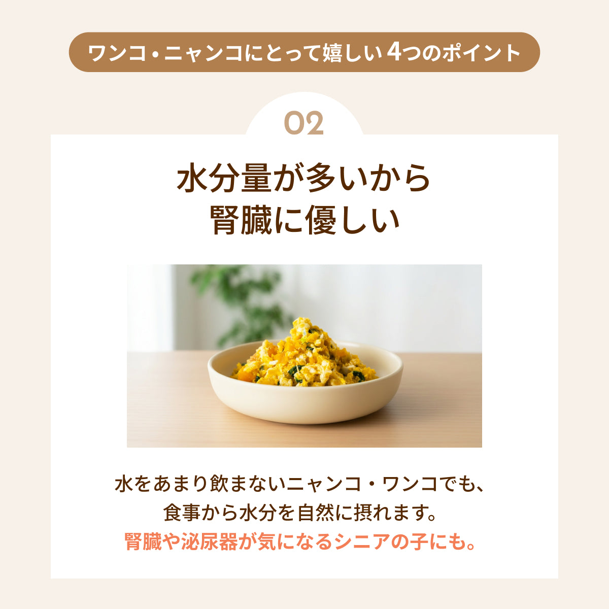 MOFMORE モフシェフ -ペット用フードメーカー-