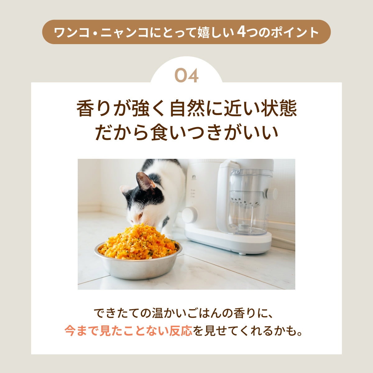 MOFMORE モフシェフ -ペット用フードメーカー-