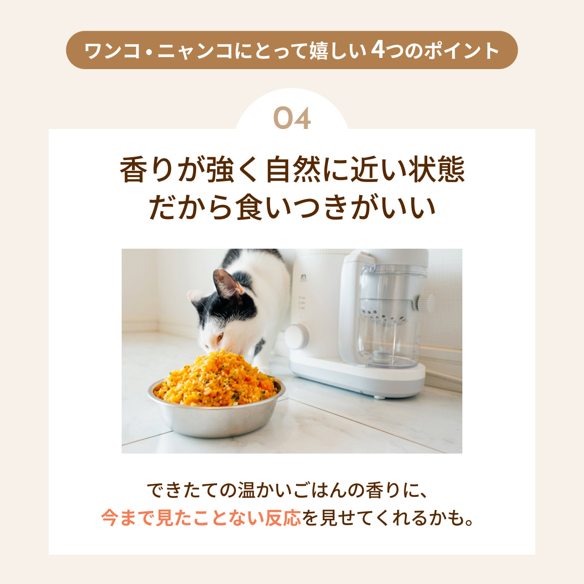 MOFMORE モフシェフ -ペット用フードメーカー-