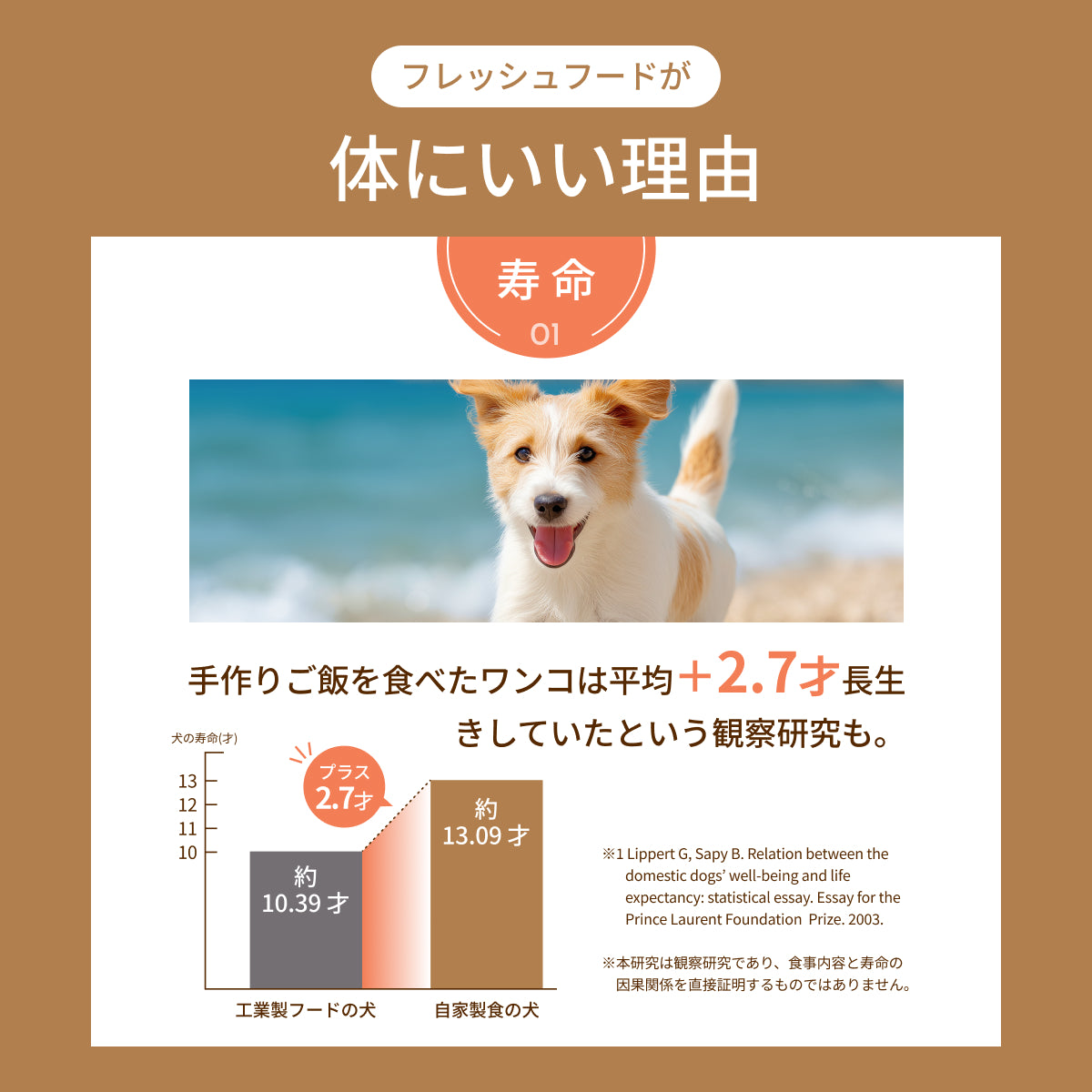 MOFMORE モフシェフ -ペット用フードメーカー-