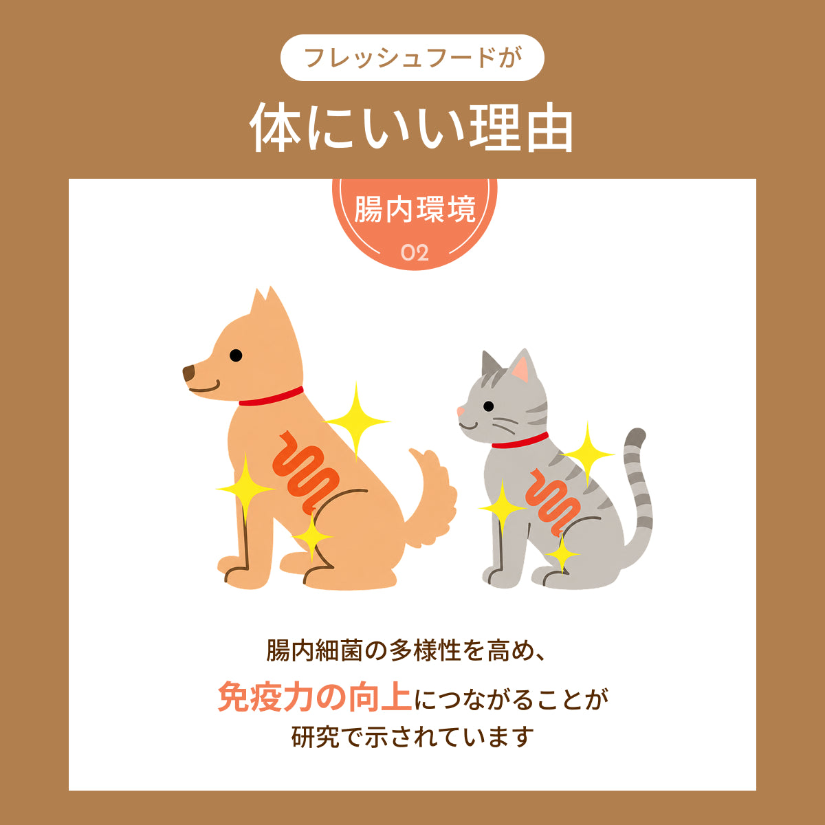 MOFMORE モフシェフ -ペット用フードメーカー-