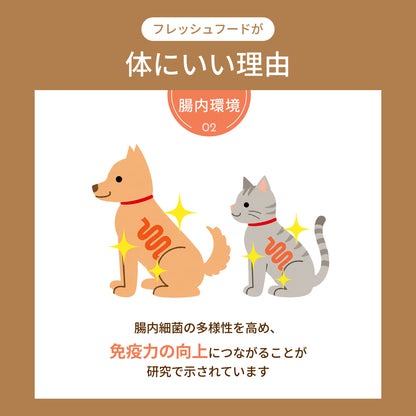 MOFMORE モフシェフ -ペット用フードメーカー-