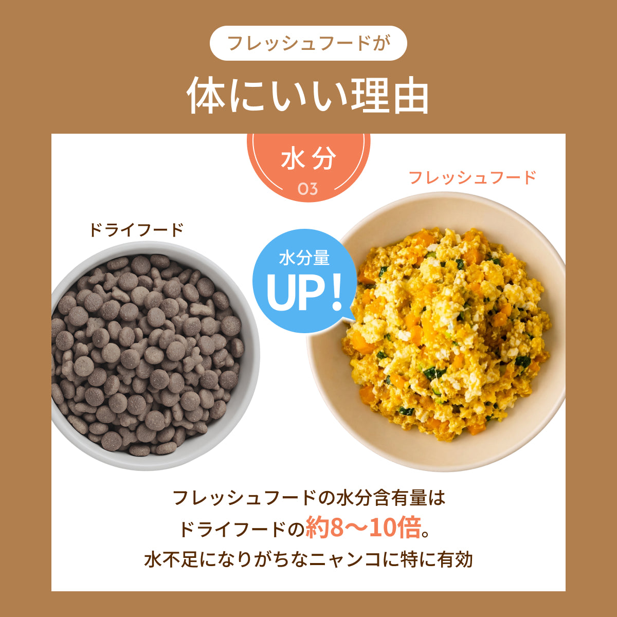 MOFMORE モフシェフ -ペット用フードメーカー-