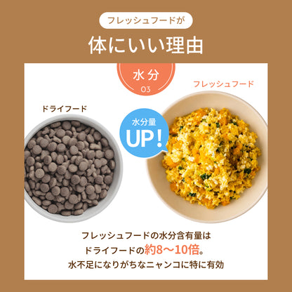 MOFMORE モフシェフ -ペット用フードメーカー-