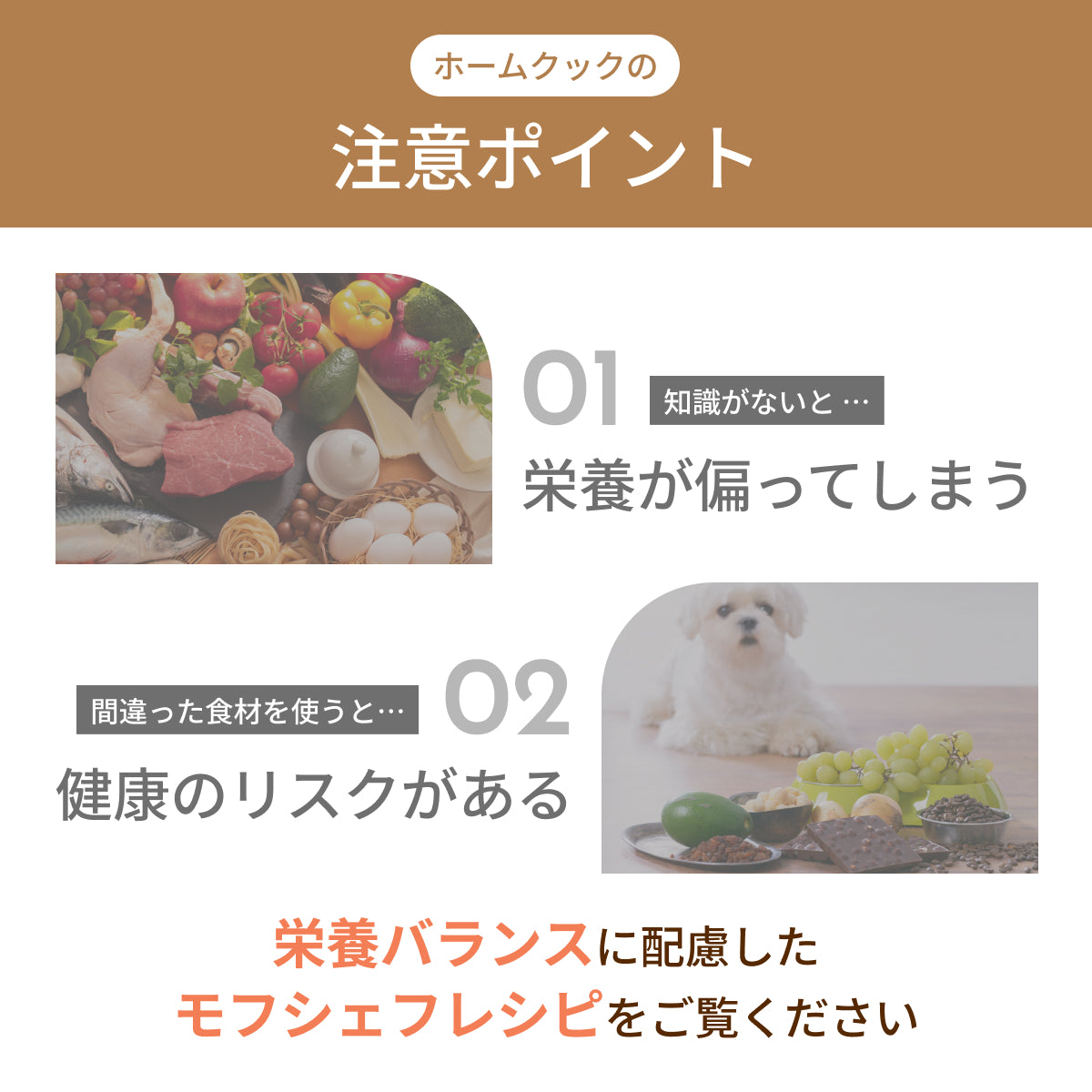 MOFMORE モフシェフ -ペット用フードメーカー-