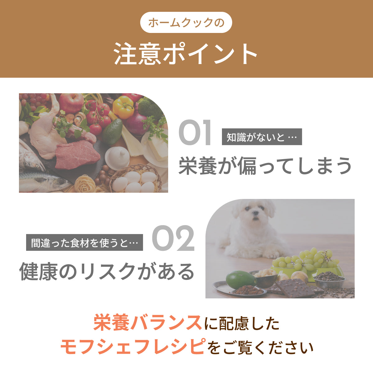 MOFMORE モフシェフ -ペット用フードメーカー-