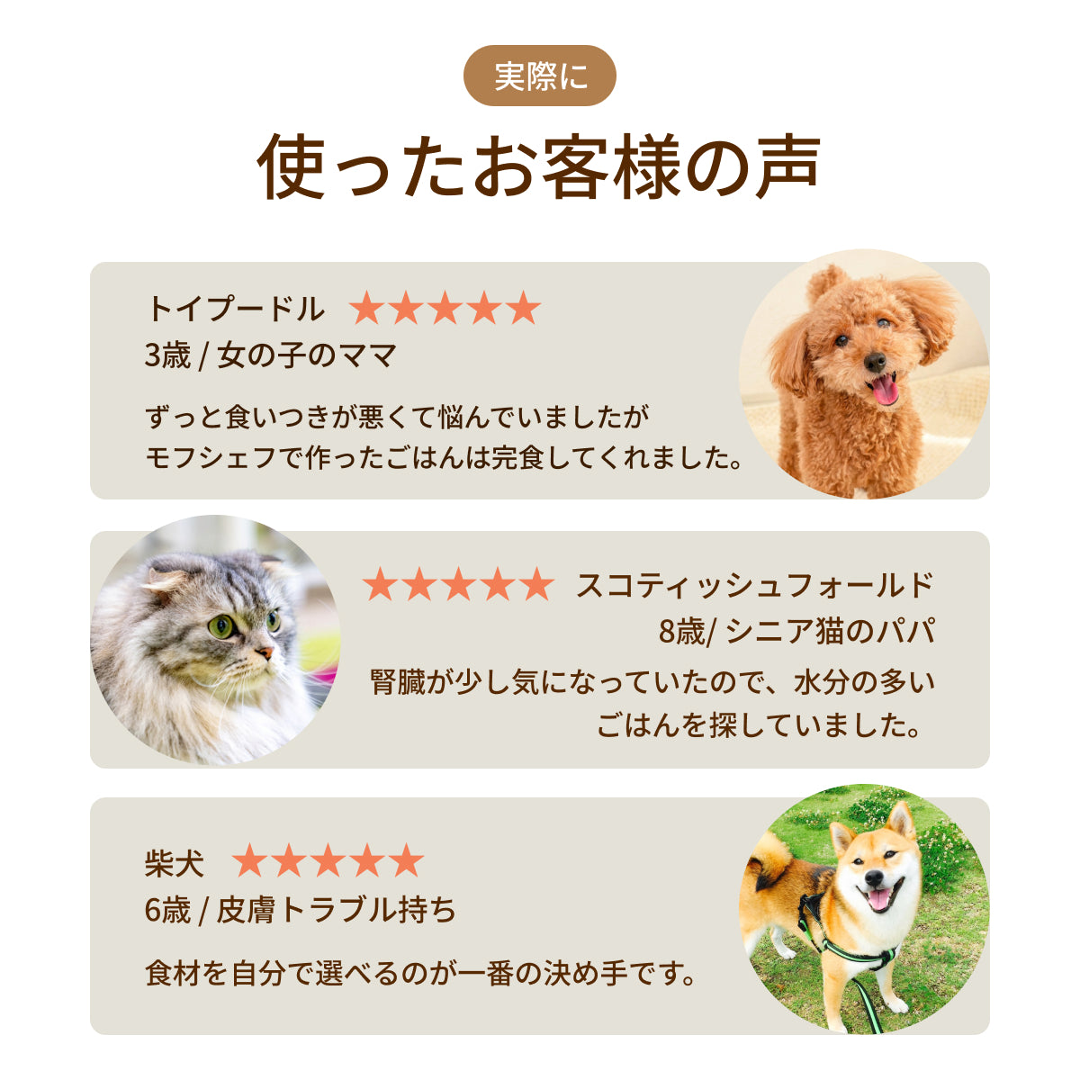 MOFMORE モフシェフ -ペット用フードメーカー-