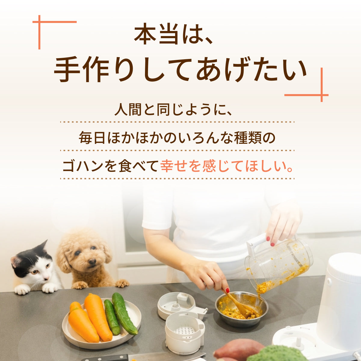 MOFMORE モフシェフ -ペット用フードメーカー-